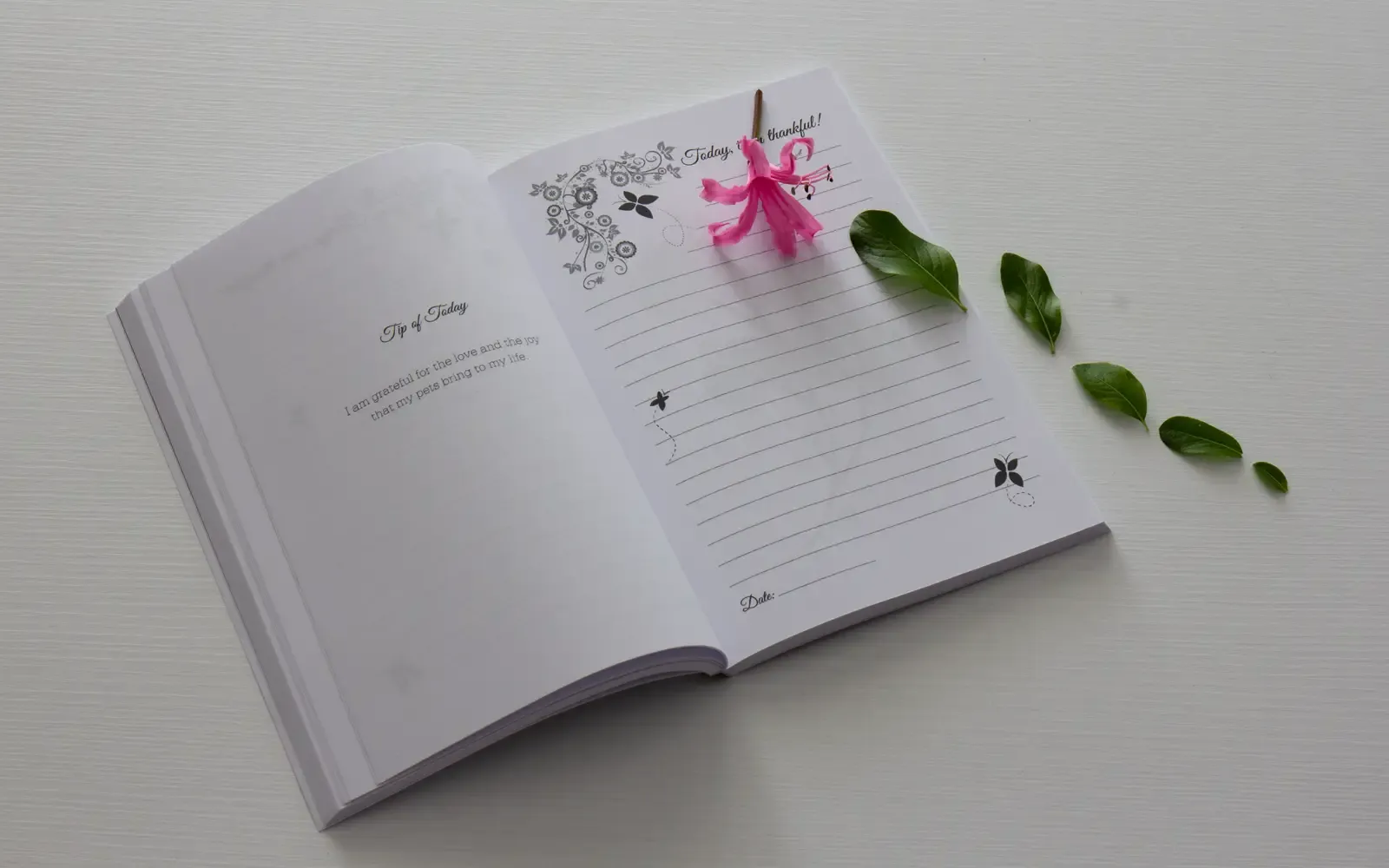 Anteprima del libro 3: Gratitude Journal GREEN