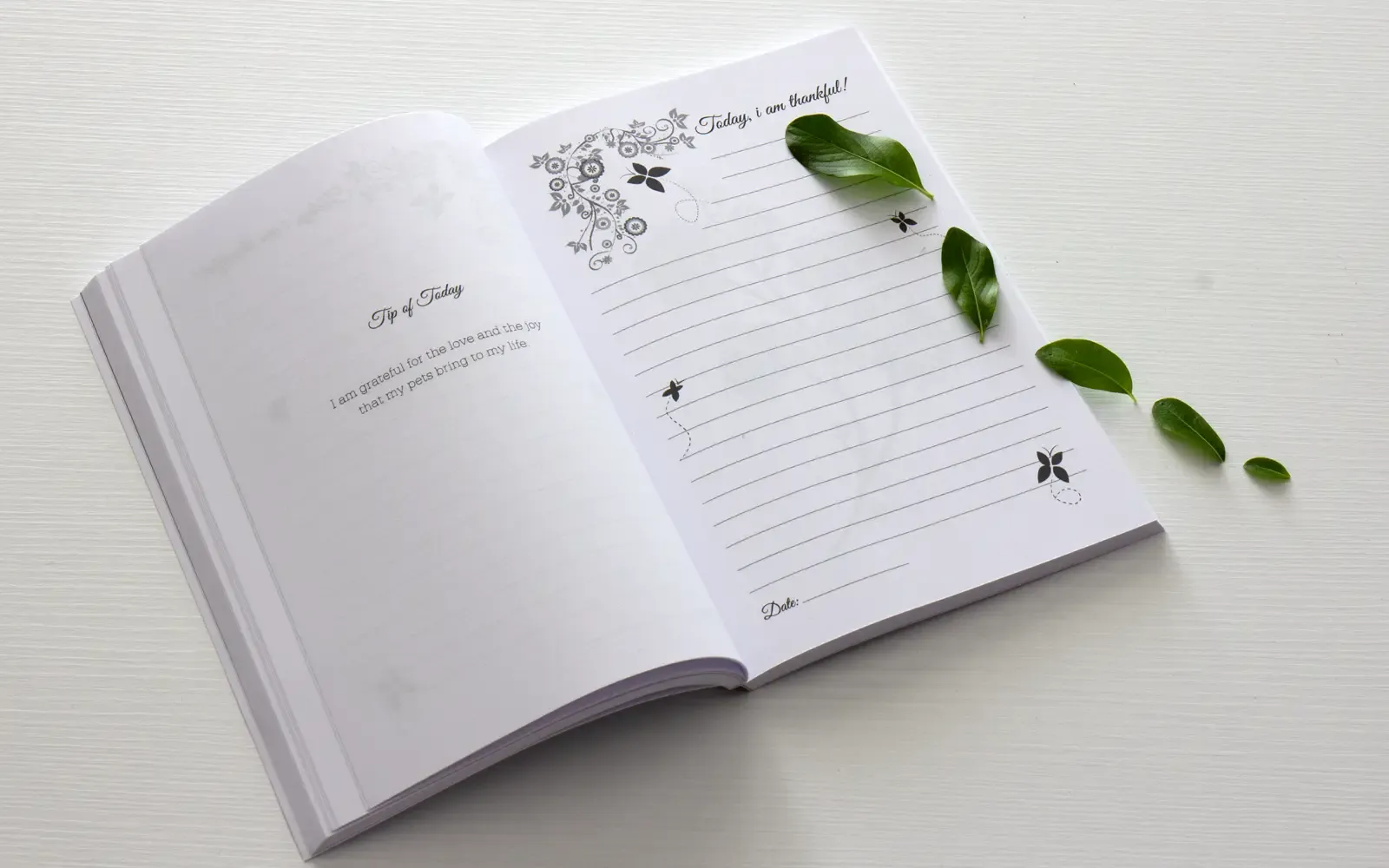 Anteprima del libro 3: Gratitude Journal BLU